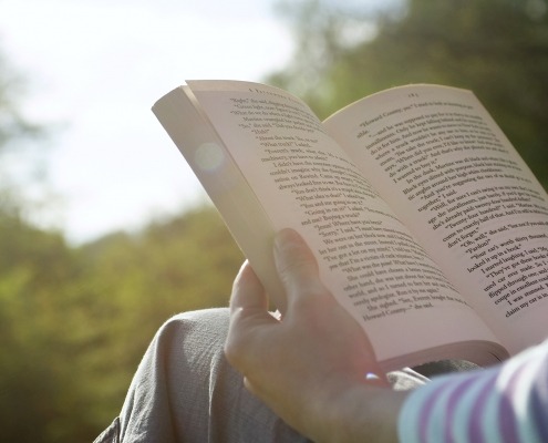 comprensión lectora en inglés