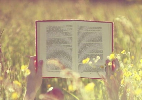 novelas para aprender ingles