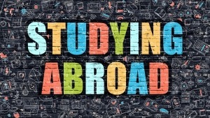 Año escolar en el extranjero