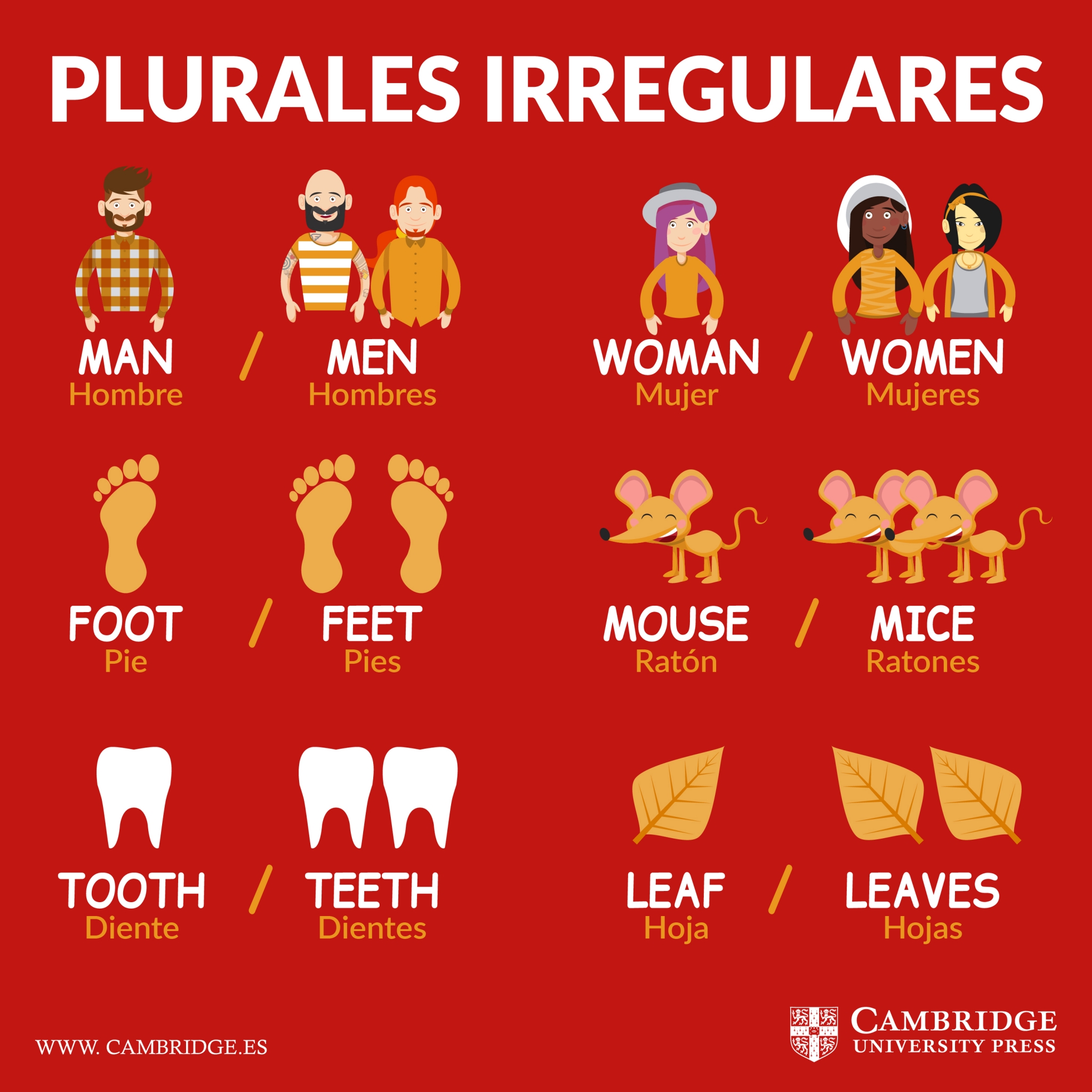 plurales-irregulares-ingles