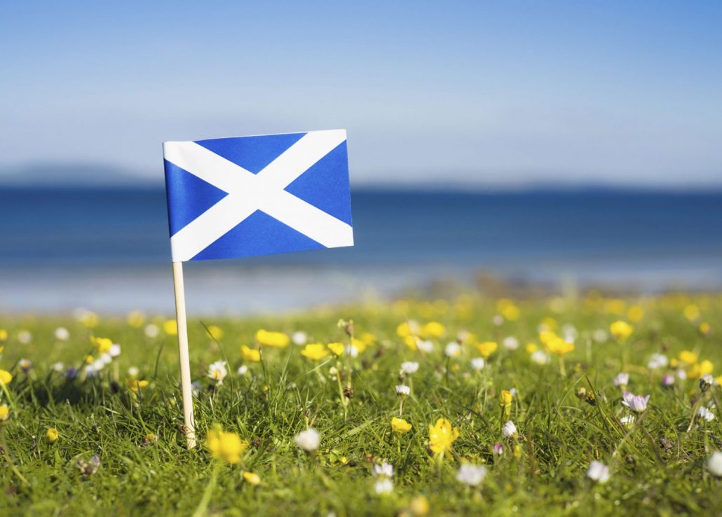Andrew insignia Sew-hierro-en Oval parche de la bandera de Escocia de San St